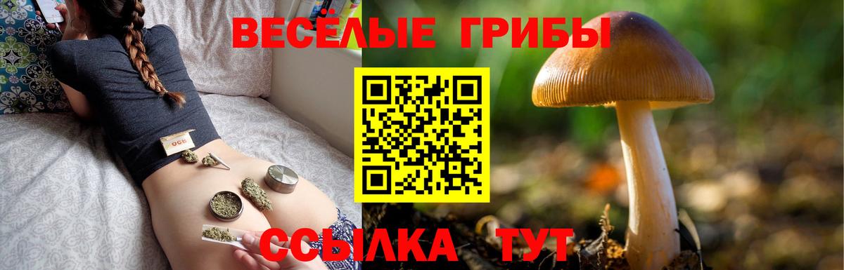 Псилоцибиновые грибы мухоморы Пенза